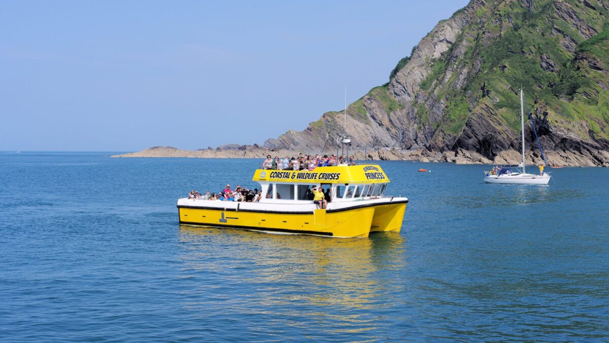 A Coastal Cruise from Ilfracombe What to Expect Aboard the Ilfracombe Princess