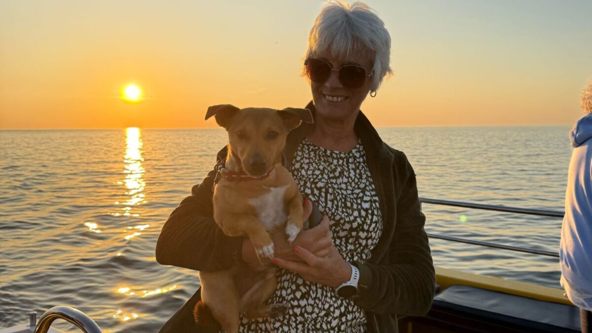 SEO Title Dog-Friendly Boat Trips in Ilfracombe: Bring the Whole Family | Ilfracombe Princess