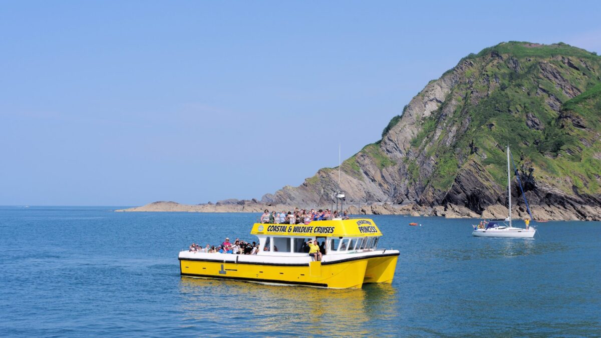 The Exmoor Cliffs Cruise: England's Highest Sea Cliffs Seen from the Water